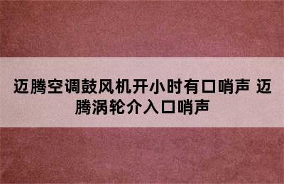 迈腾空调鼓风机开小时有口哨声 迈腾涡轮介入口哨声